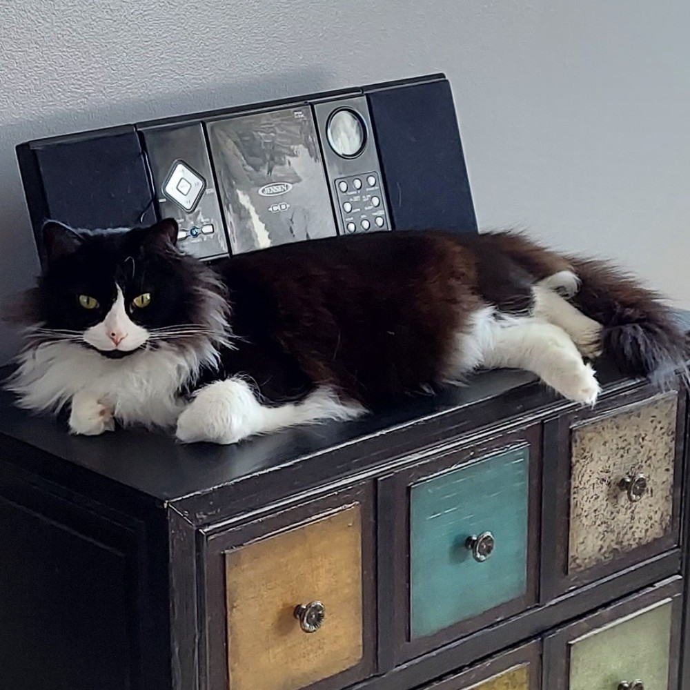 Meet your Posher, Posh